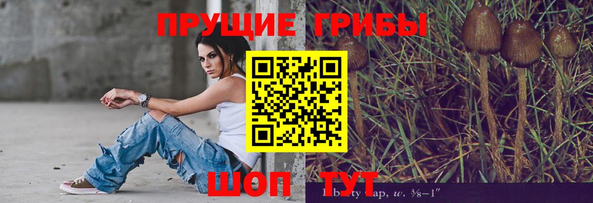 Псилоцибиновые грибы Cubensis Великий Новгород
