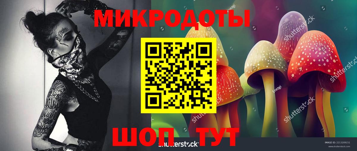 Псилоцибиновые грибы MAGIC MUSHROOMS  хочу   Великий Новгород  Вход с VPN 